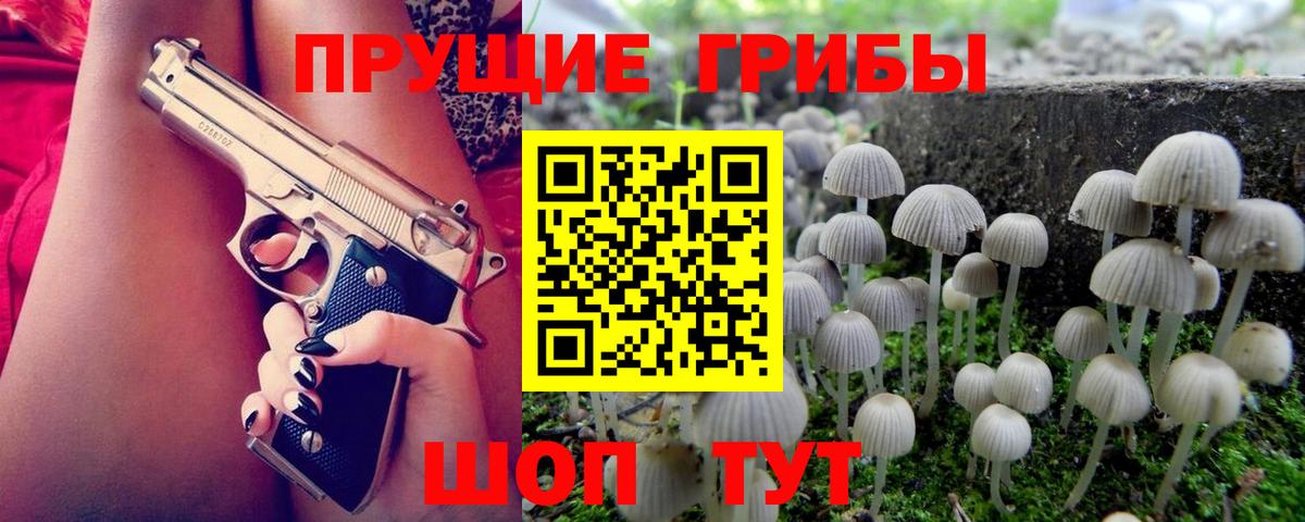 Чайковский  Псилоцибиновые грибы Psilocybe  Вход с VPN 
