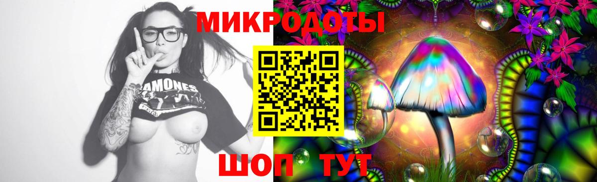 Галлюциногенные грибы Psilocybine cubensis  Чайковский 