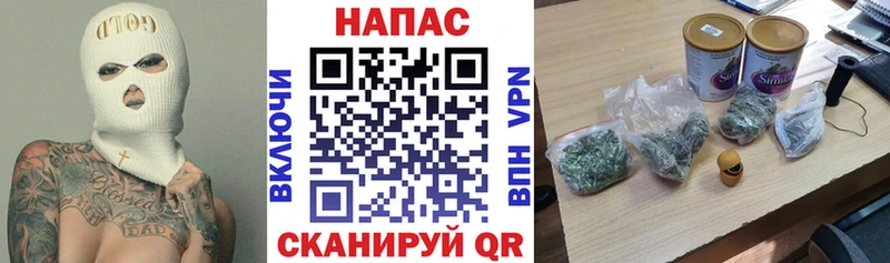 Марихуана сатива  Чайковский 
