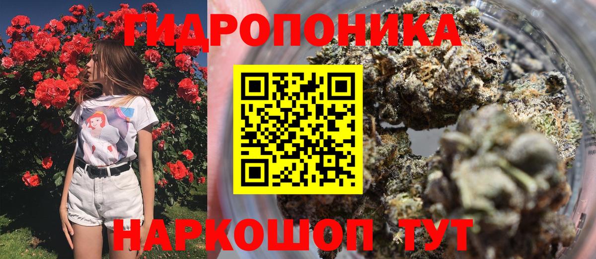 Шишки марихуана марихуана  Канабис White Widow  Чайковский  Каннабис White Widow  МАРИХУАНА планчик 